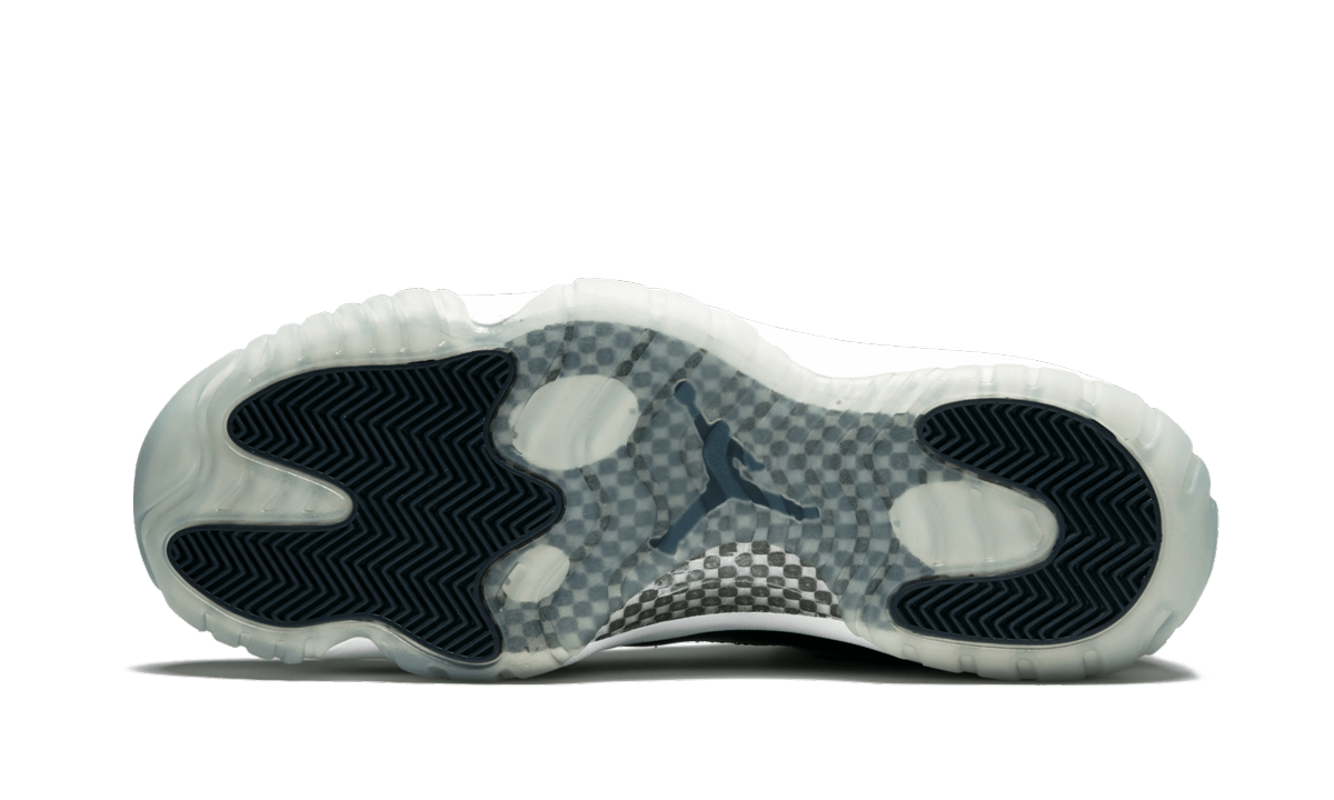 11 Retro Low "Georgetown" 528895 007