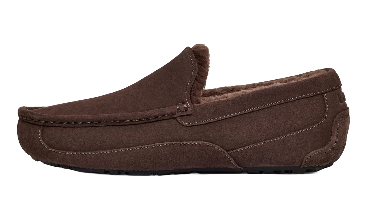 Ascot Slipper "Dusted Cocoa" 1101110 DDC