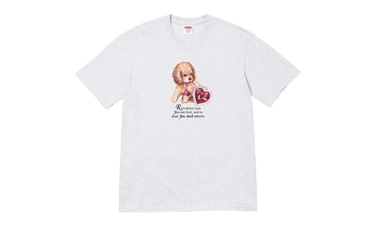 Dust Tee "FW25 - Ash Grey" SU26813