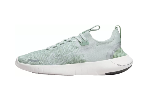 Free Run Fk Next Nature Wmns"Light Silver" DX6482 008