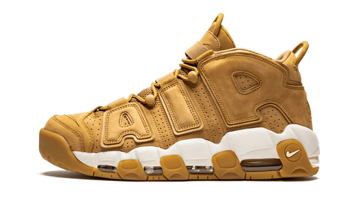 Air More Uptempo '96 PRM AA4060 200