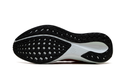 Air Zoom Pegasus 41 Wmns"Summit White" FD2723 100