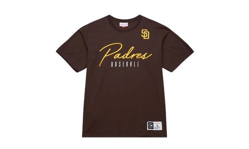 Training Day Premium Short Sleeves Tee "Current Logo - Brown" FC11759 SDPBROW