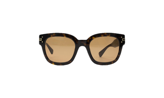 Classic Logo Sunglasses "Brown" XA41763AC_Tortoise/Brown