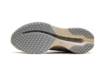 Air Zoom Pegasus Premium "Running is Mental" IQ0307 094