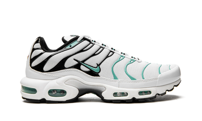 Air Max Plus "Atmos" 604133 148