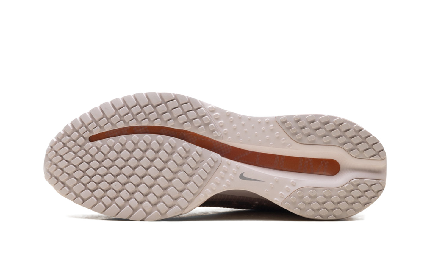 Pegasus Premium WMNS"Metallic Rose Gold" HQ2593 603