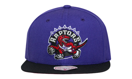 NBA 2-Tone Classic Snapback Cap "Toronto Raptors - Purple / Black" 6HSSJS18093 TRAPRBK