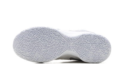 Zoom Lebron NXXT GEN AMPD "White Light Smoke Grey" FJ1566 102