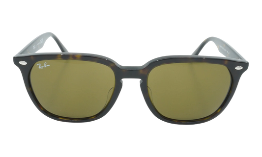 Square Sunglasses "HAVANA" RB4362F-902-73_55