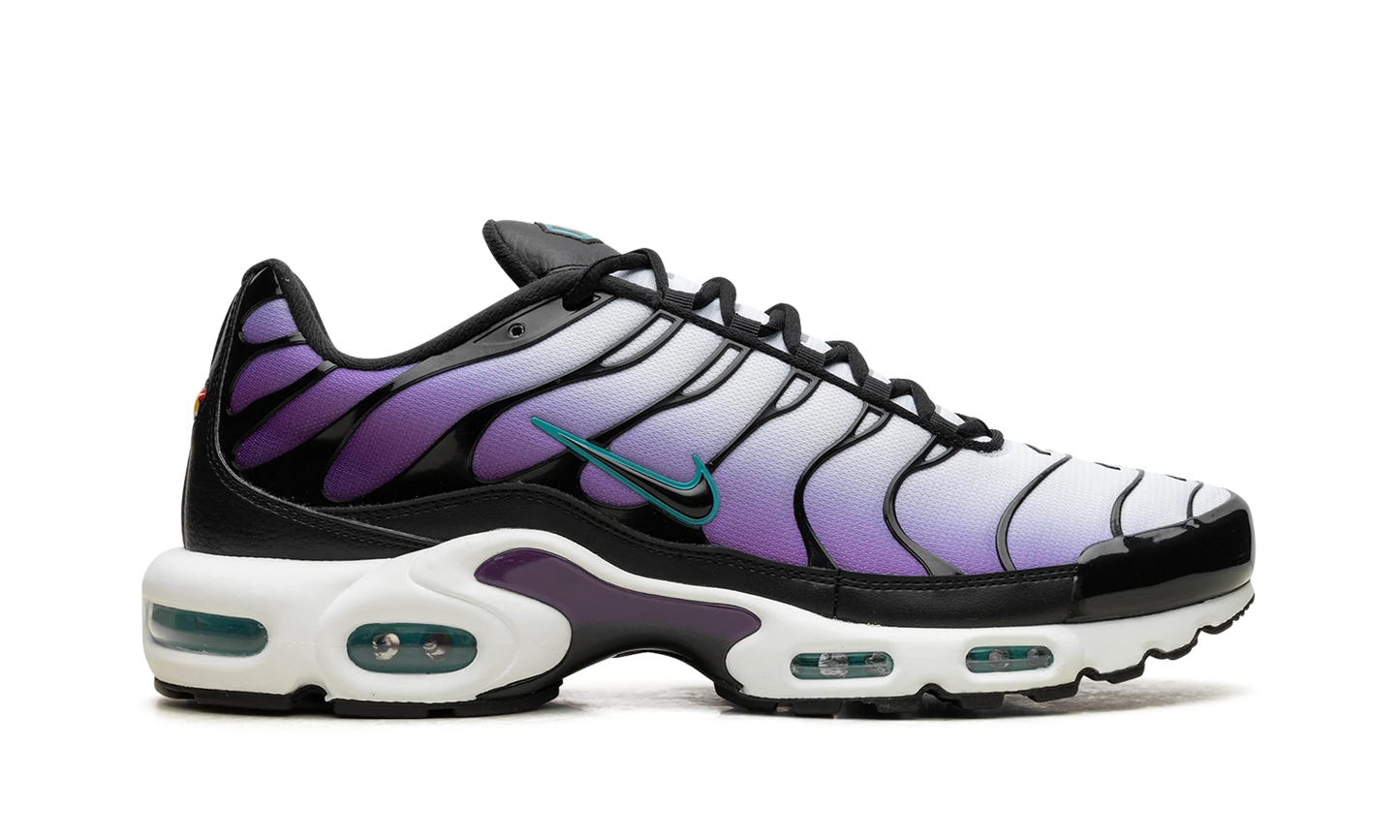 Air Max Plus "Reverse Grape" FQ2415 500