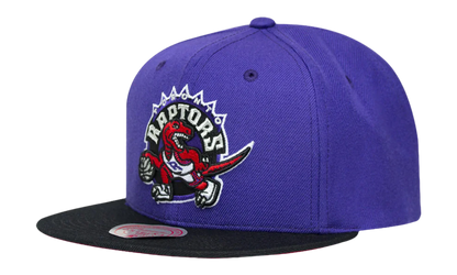 NBA 2-Tone Classic Snapback Cap "Toronto Raptors - Purple / Black" 6HSSJS18093 TRAPRBK