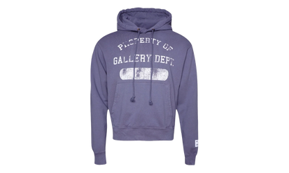 Property Print Cotton Hoodie "Purple" GD079