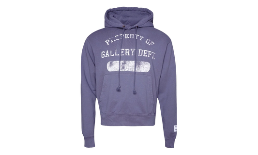 Property Print Cotton Hoodie "Purple" GD079
