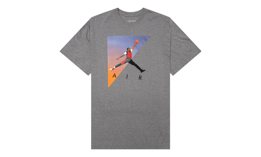 Air Jordan Air Photo T-Shirt "Carbon Heather" CZ8410 091