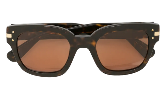Classic Logo Sunglasses "Brown / Brown / Gold" XA41763AC BBG