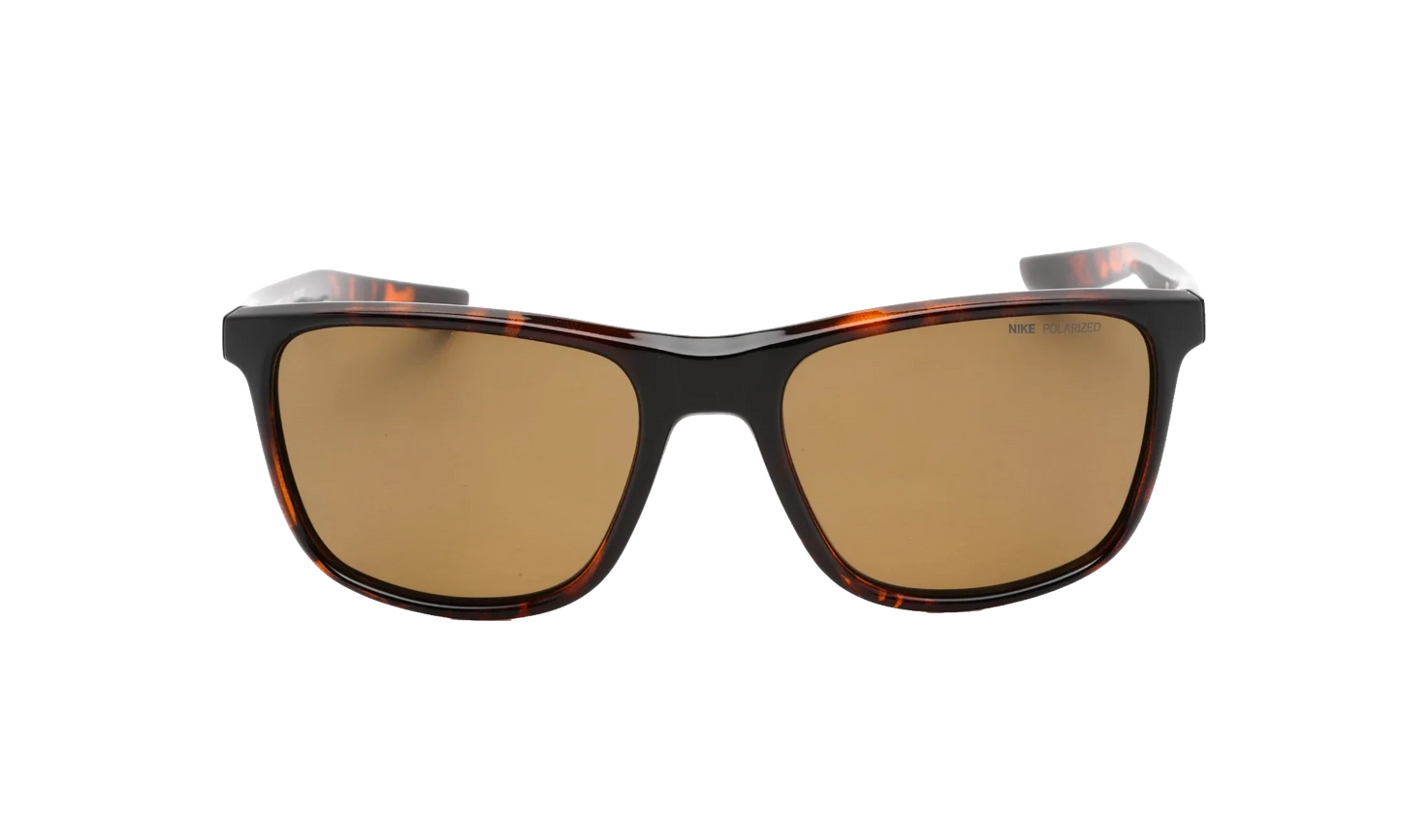 Essential Endeavor Polarized Sunglasses "Tortoise / Brown" EV1124 220