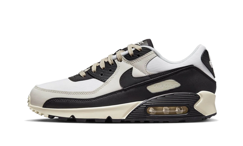 Air Max 90 "Sail / Coconut Milk" DQ8974 100