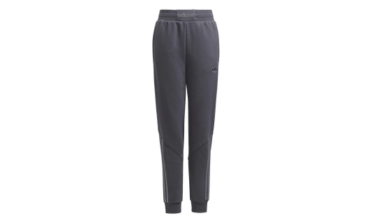 SPRT Collection Track Pants GS "Gray Five" H31215