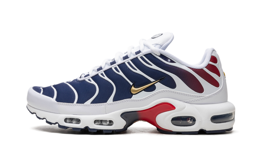 Air Max Plus "PSG" FZ4776 100