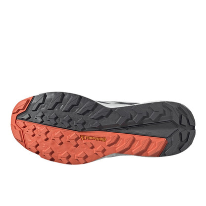 Terrex Free Hiker 2.0 Gore-Tex Hiking Shoes