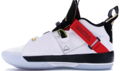 XXXIII Future of Flight