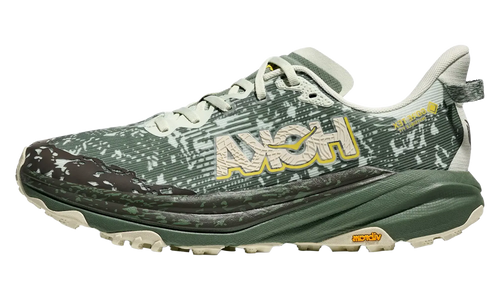 Speedgoat 6 GTX "Sea Glass Fern" 1155150 SFRN
