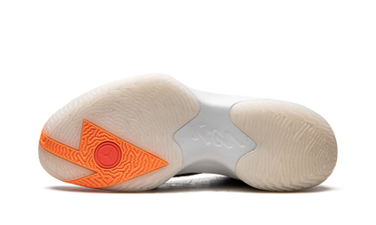 Zion 1 "Cool Grey" DA3130 008