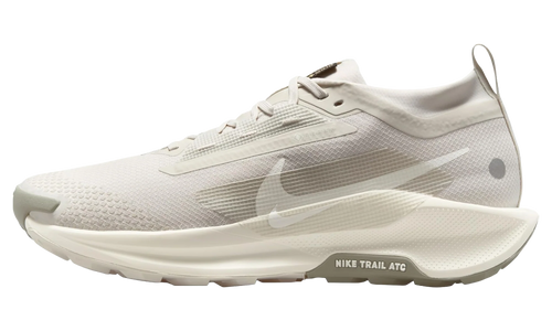 React Pegasus Trail 5 Gore-Tex "Sail" FQ0908 008
