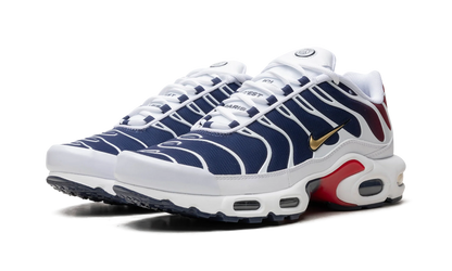 Air Max Plus "PSG" FZ4776 100