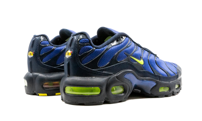 Air Max Plus (GS) CD0609 401