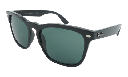 Steve Sunglasses "Black" RB4487-662971_54
