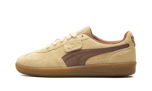 Palermo OG "Chamomile Brown Mushroom" 397251 01