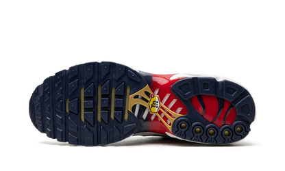 Air Max Plus "PSG" FZ4776 100