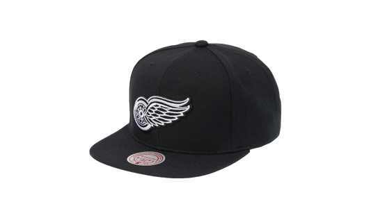 NHL Vintage Evergreen Black White Snapback Cap "Detroit Red Wings - Black" HS8545 DRWBLCK
