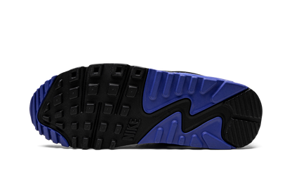 AIR MAX 90 WMNS"Hyper Royal" CD0490 100