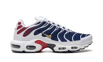 Air Max Plus "PSG" FZ4776 100
