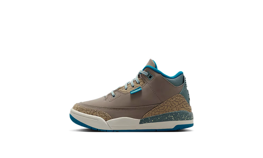 Air Jordan 3 PS "We Outside" IB7064 001
