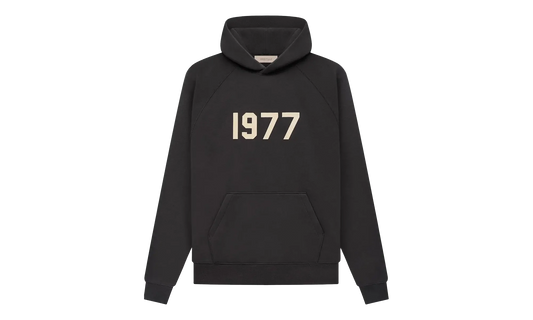 1977 Hooded Sweatshirt "Iron" 192BT212050F