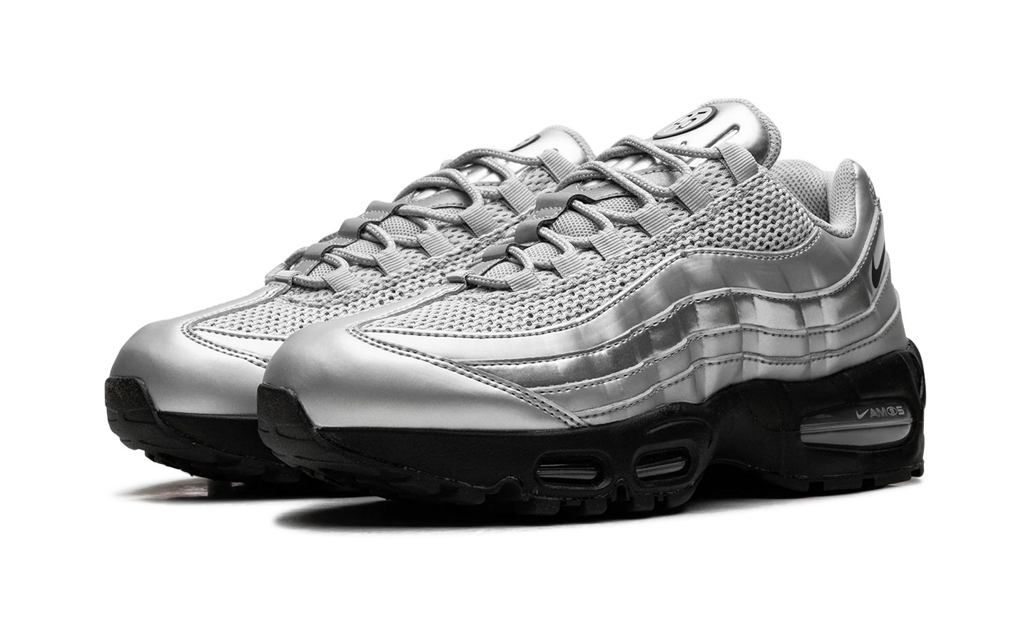 Nike Air Max 95 "Total 90 - Metallic Silver" IB6830 002
