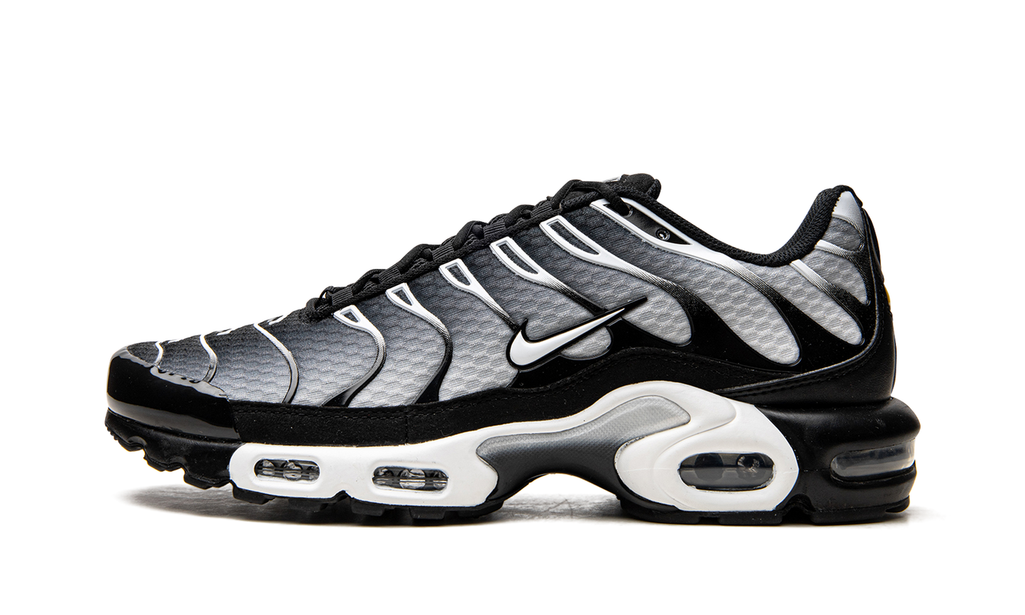 Air Max Plus "Black / Silver" DM0032 003