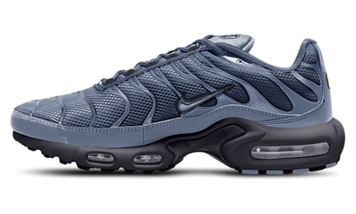 Air Max Plus "World Indigo" DM0032 404