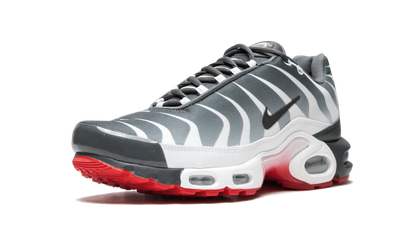 Air Max Plus TN SE AQ0237 100