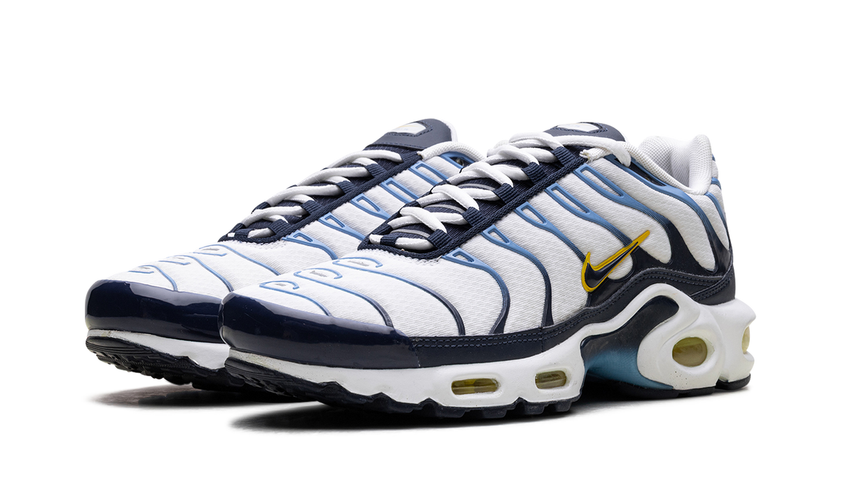 Air Max Plus CT1094 100