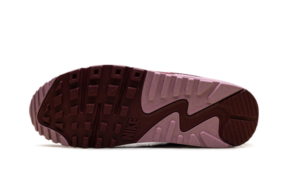 AIR MAX 90 SE WMNS"NEAPOLITAN" HM9451 600