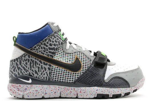 Trainer Dunk High Mita