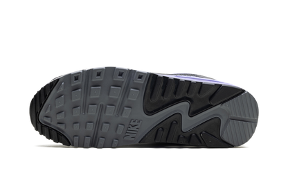 Air Max 90 "Light Thistle" DM0029 014